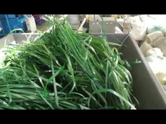 Trituradora de material blando de eje único